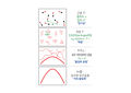 2021년 11월 22일 (월) 10:44 판의 섬네일